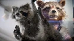 Des animaux et des monstres