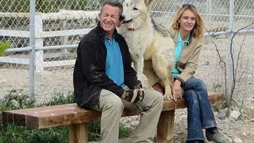 Des animaux sauvages à la maison