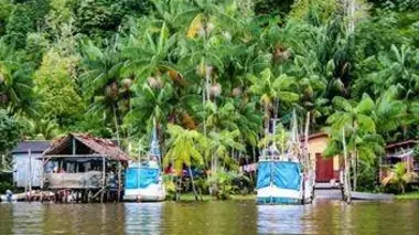 Les routiers des flots en Guyane