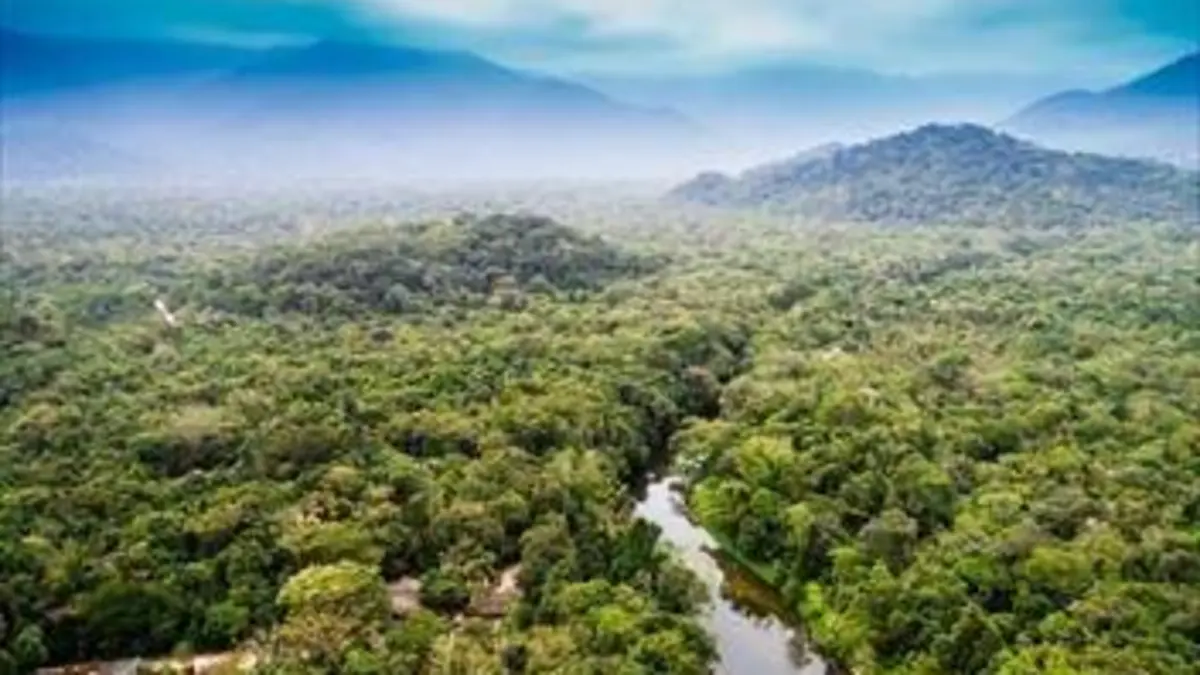 Des bateaux et des hommes