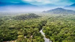 Visuel de Des bateaux et des hommes