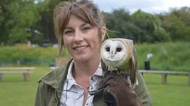Petits cochons, petites chouettes