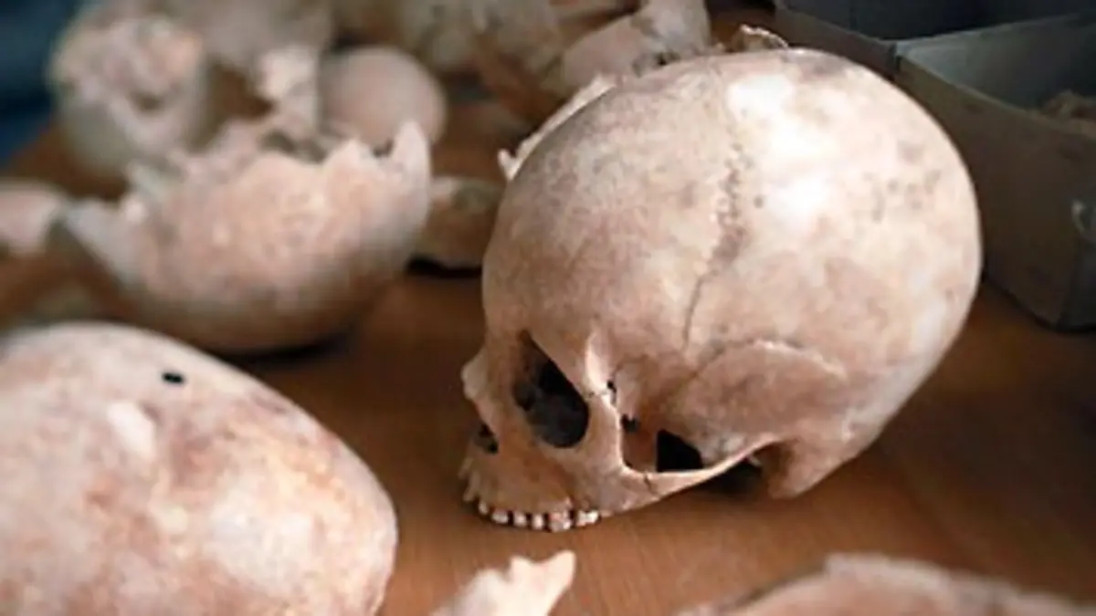 Des cannibales en Europe ?