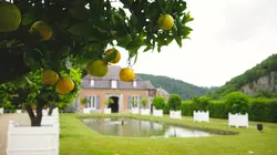 Des châteaux et des hommes