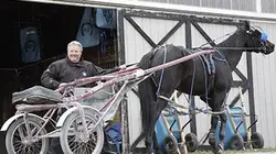 Visuel de Des chevaux, des hommes et du cash