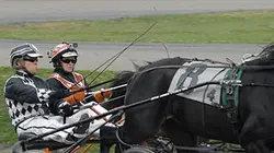 Visuel de Des chevaux et des femmes