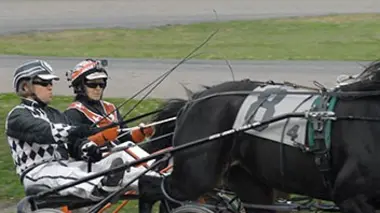 Le cheval et l'argent