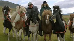 Des chevaux et des hommes en streaming