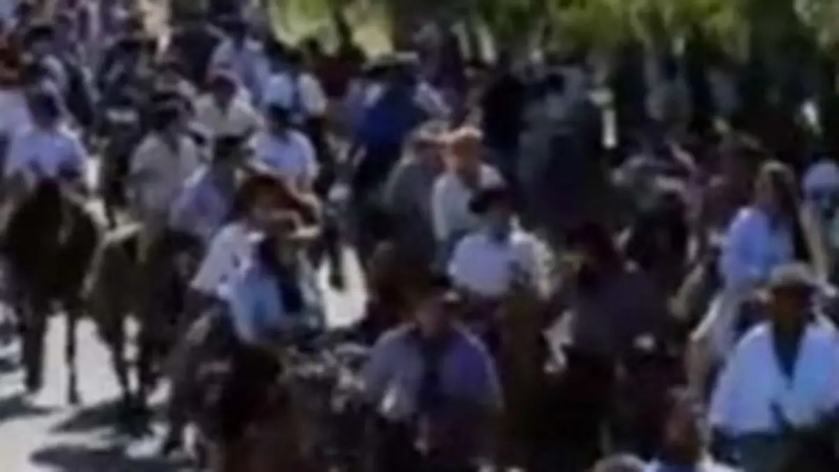 Des chevaux par milliers