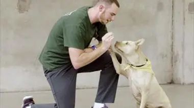 Des chiens et des hommes Les secrets d'une amitié