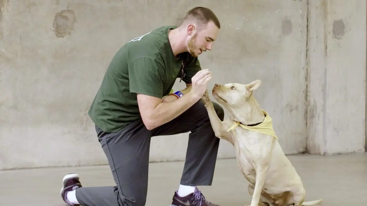 Des chiens et des hommes : Les secrets d'une amitié