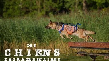 La puissance du corps