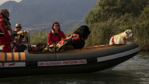 Casting Des chiens extraordinaires E02 Le mystère thérapeutique