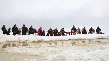 Le sixième sens
