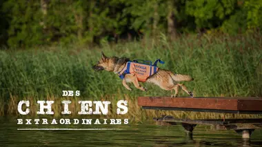 Le héros modeste