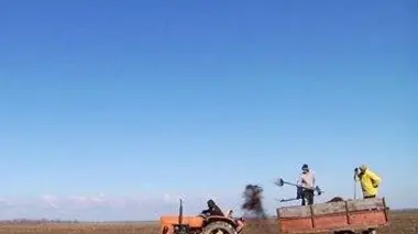 Des choux, des patates et d'autres démons