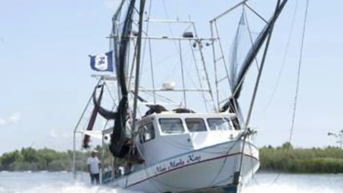 Des crevettes et des cajuns S01E04 Sous pression