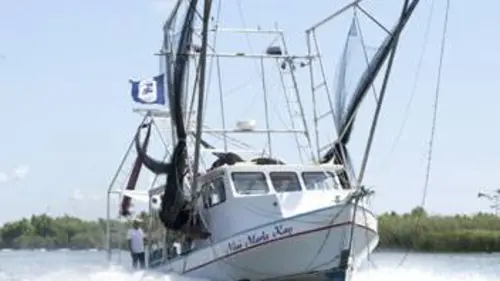 Des crevettes et des cajuns S01E04 Sous pression