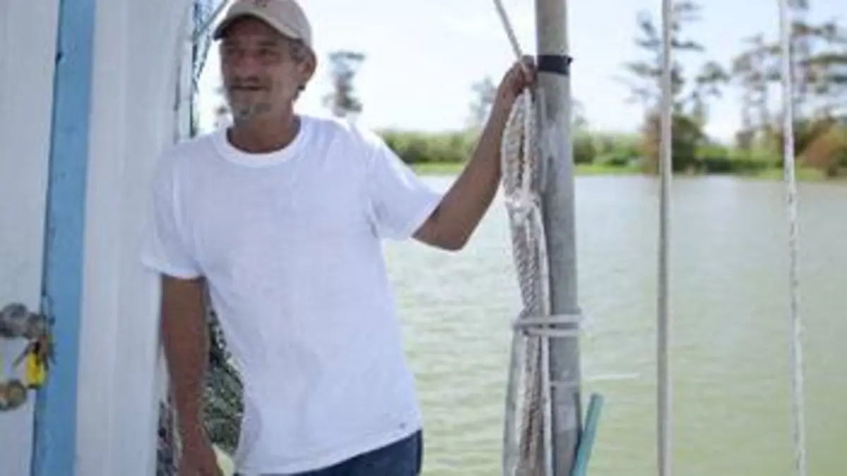 Des crevettes et des cajuns