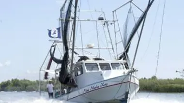 Des crevettes et des cajuns S01E01 L'or blanc