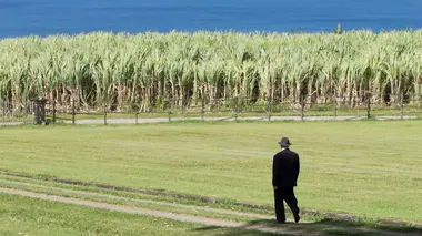 L'affaire Aliker, la vérité assassinée en Martinique