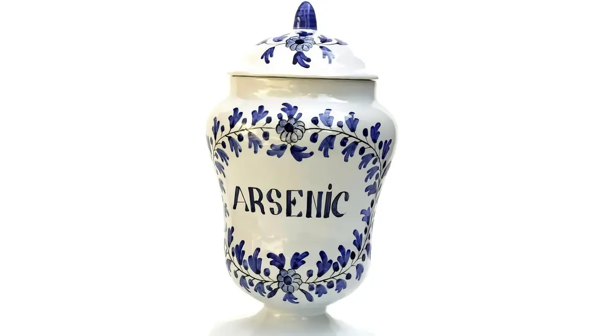 Des crimes presque parfaits Affaire Hélène Jégado (1852)