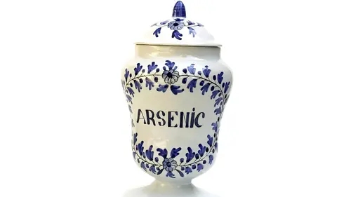 Des crimes presque parfaits Affaire Hélène Jégado (1852)