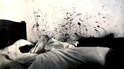 Des crimes presque parfaits La diabolique de Baugé, dernière guillotinée de France