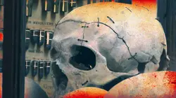 Des crimes presque parfaits L'affaire de la malle sanglante de Millery