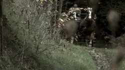 Des crimes presque parfaits Pierre-François Lacenaire, le poète assassin