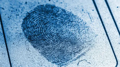 Des crimes presque parfaits Emile Buisson : l'insaisissable gangster