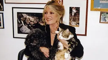 Des décennies de combats