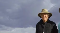 Des dinosaures bien vivants