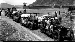 Des dinosaures bien vivants