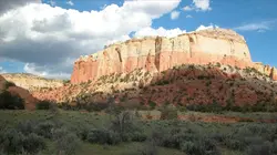 Des dinosaures bien vivants