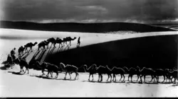 Des dinosaures bien vivants