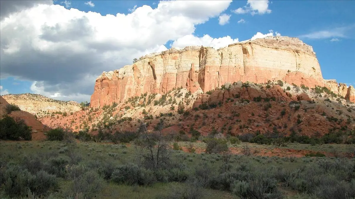 Des dinosaures bien vivants