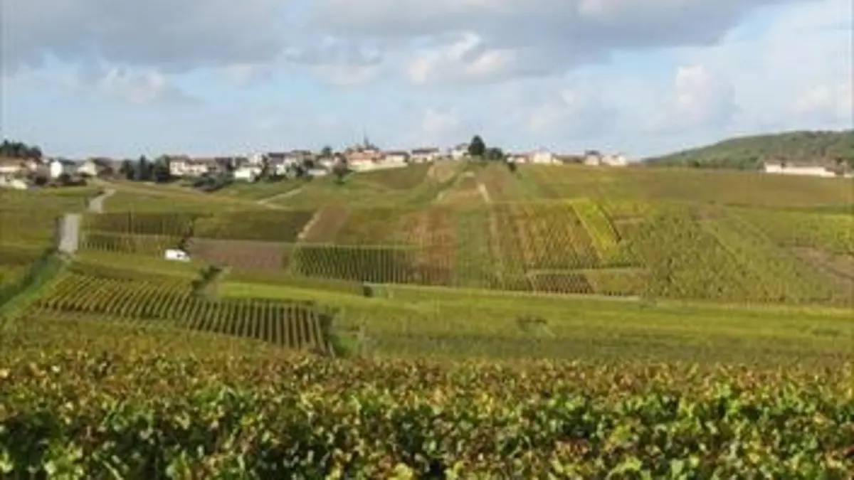 Des écoles pas comme les autres S02E00 Le terroir