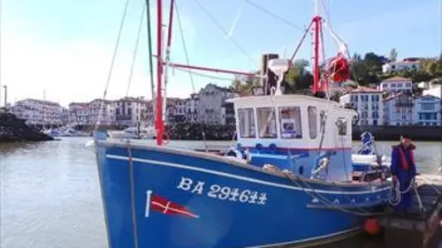 Des écoles pas comme les autres La mer