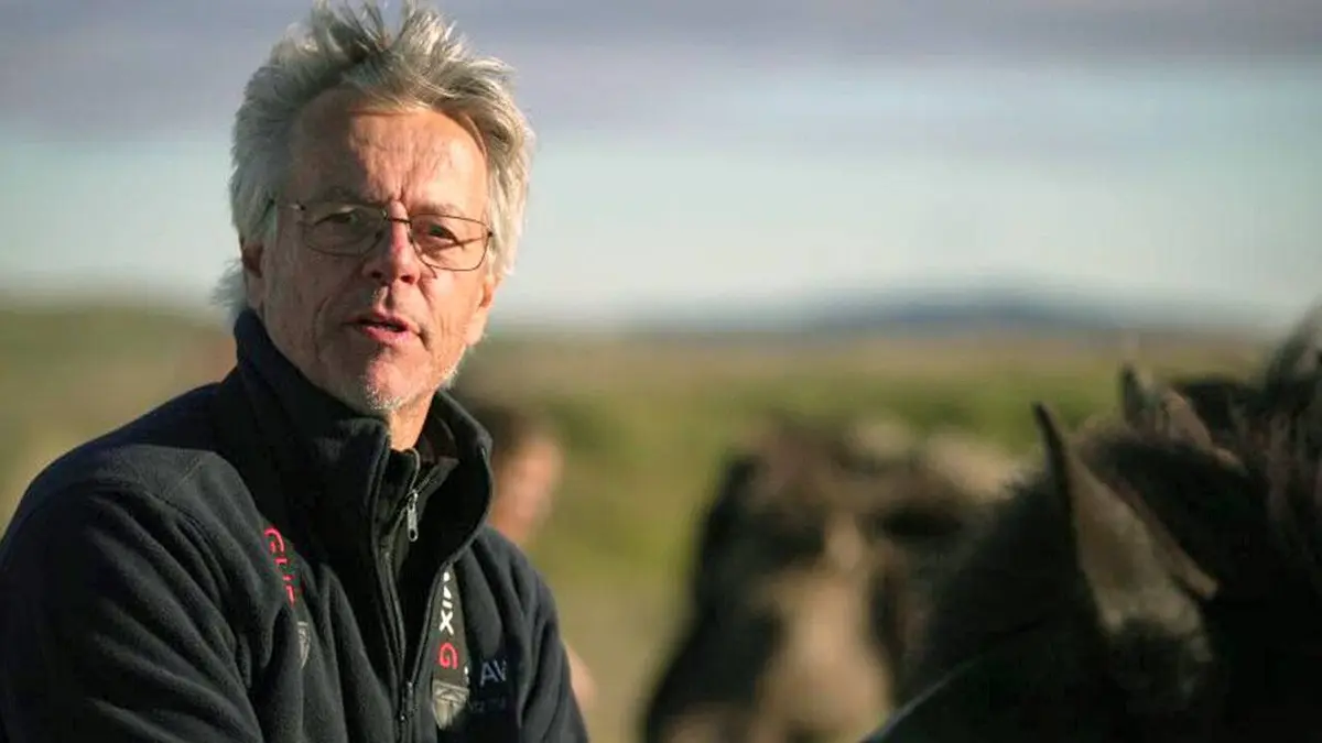 Des fermes à sang : En Islande, on saigne les juments