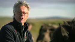 Des fermes à sang : En Islande, on saigne les juments