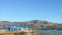 Visuel de Des Français chez les Kiwis