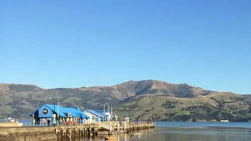 Casting Des Français chez les Kiwis