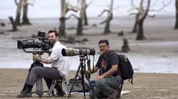 Des îles ensorcelées par la Lune
