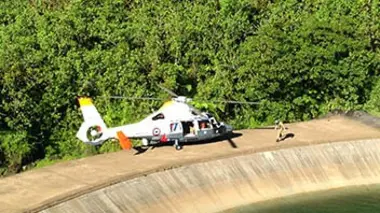 Un dauphin à Tahiti