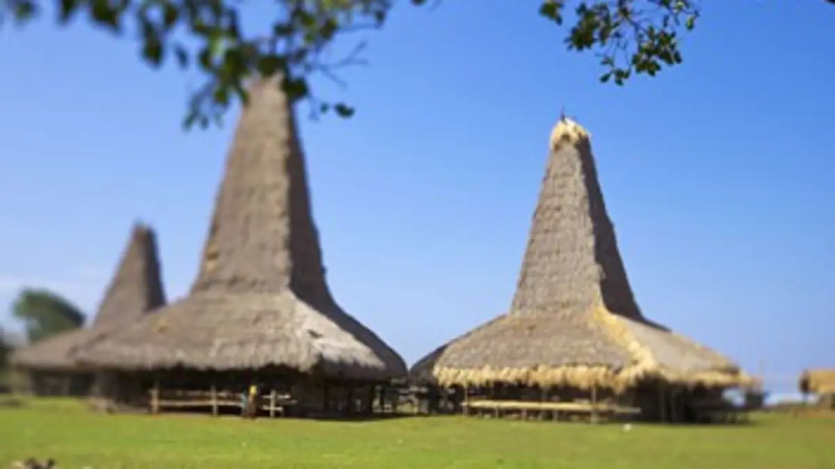 Des îles et des hommes S02E01 Sumba, l'île aux esprits