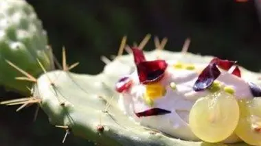 Fromage aux larves de Sardaigne