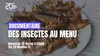 2012 • Des insectes au menu