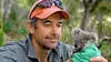 Des koalas et des hommes