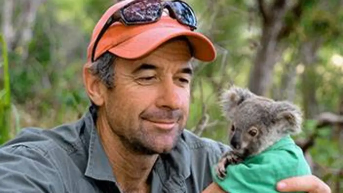 Des koalas et des hommes